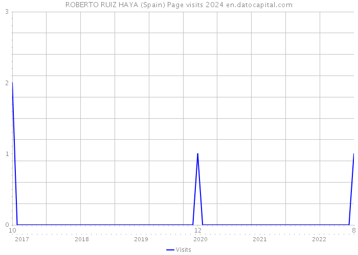 ROBERTO RUIZ HAYA (Spain) Page visits 2024 