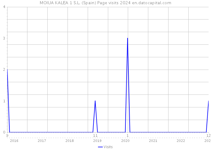 MOIUA KALEA 1 S.L. (Spain) Page visits 2024 
