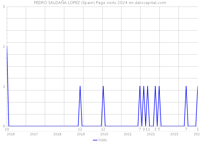 PEDRO SALDAÑA LOPEZ (Spain) Page visits 2024 
