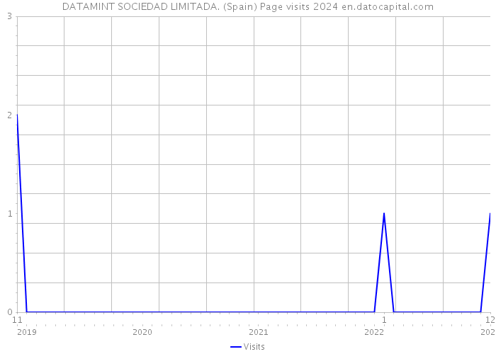 DATAMINT SOCIEDAD LIMITADA. (Spain) Page visits 2024 