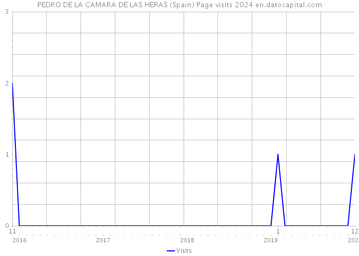 PEDRO DE LA CAMARA DE LAS HERAS (Spain) Page visits 2024 