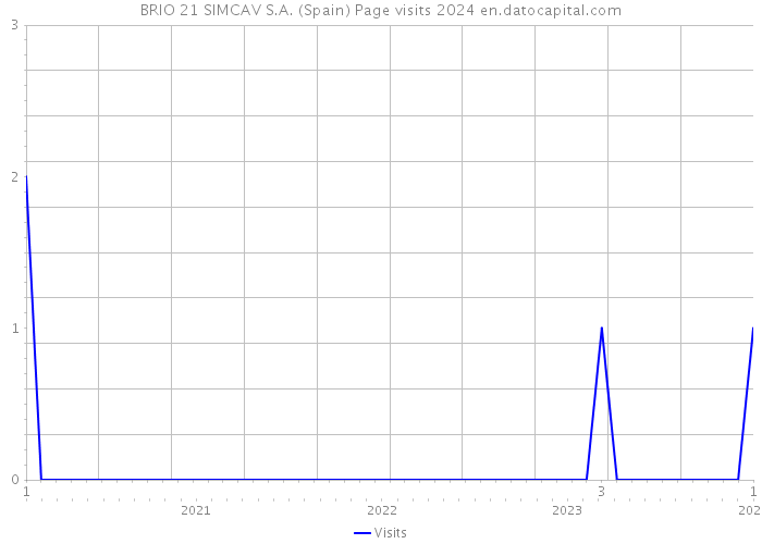 BRIO 21 SIMCAV S.A. (Spain) Page visits 2024 