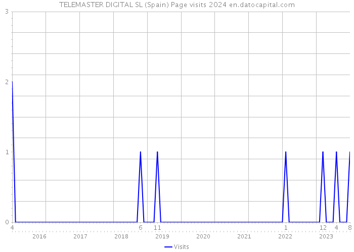 TELEMASTER DIGITAL SL (Spain) Page visits 2024 