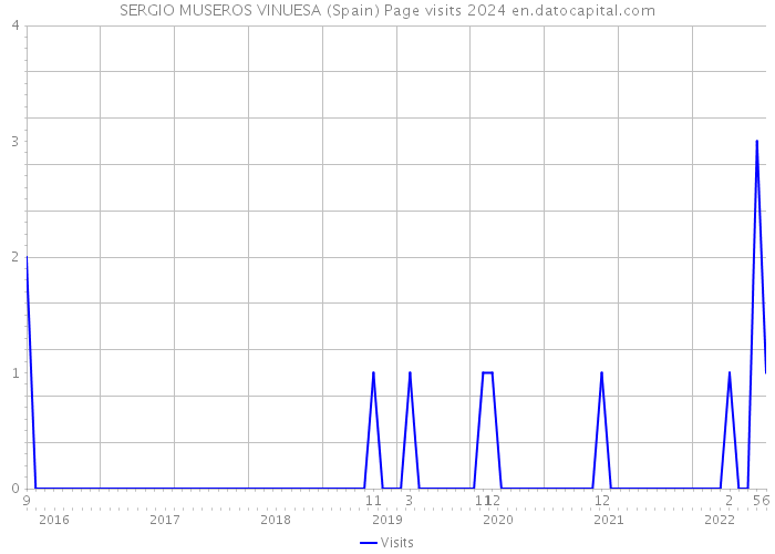 SERGIO MUSEROS VINUESA (Spain) Page visits 2024 