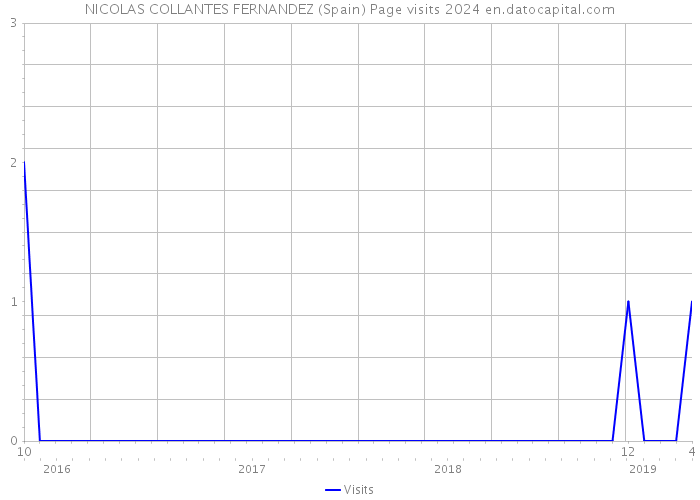 NICOLAS COLLANTES FERNANDEZ (Spain) Page visits 2024 