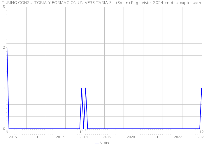 TURING CONSULTORIA Y FORMACION UNIVERSITARIA SL. (Spain) Page visits 2024 