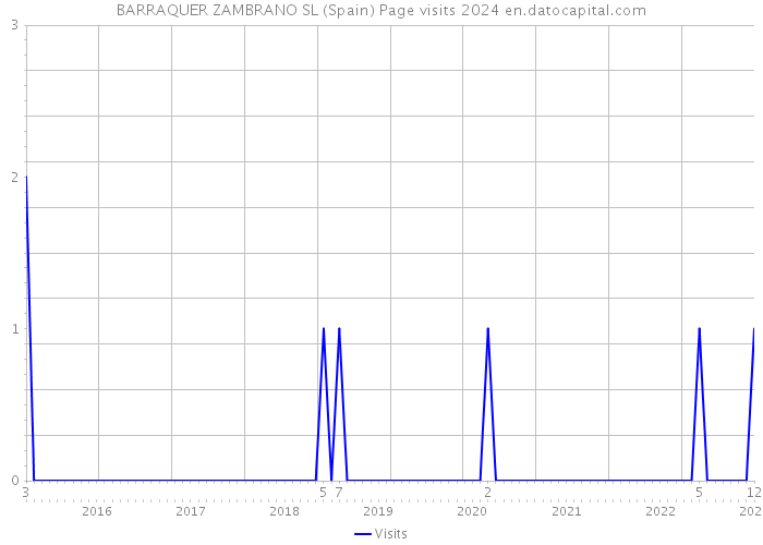 BARRAQUER ZAMBRANO SL (Spain) Page visits 2024 