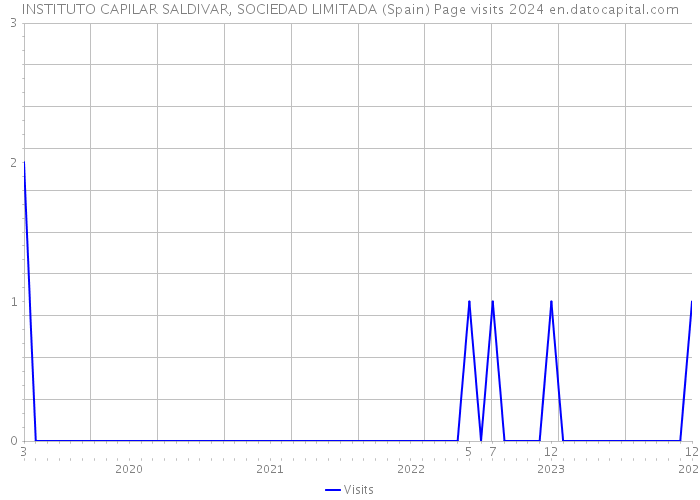 INSTITUTO CAPILAR SALDIVAR, SOCIEDAD LIMITADA (Spain) Page visits 2024 