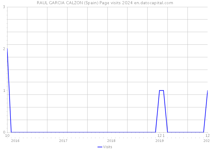 RAUL GARCIA CALZON (Spain) Page visits 2024 