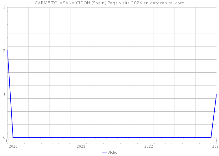 CARME TOLASANA CIDON (Spain) Page visits 2024 