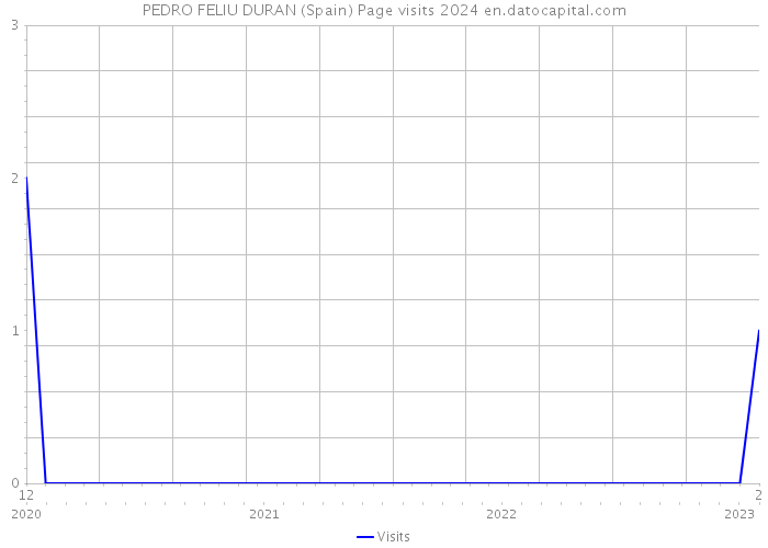 PEDRO FELIU DURAN (Spain) Page visits 2024 