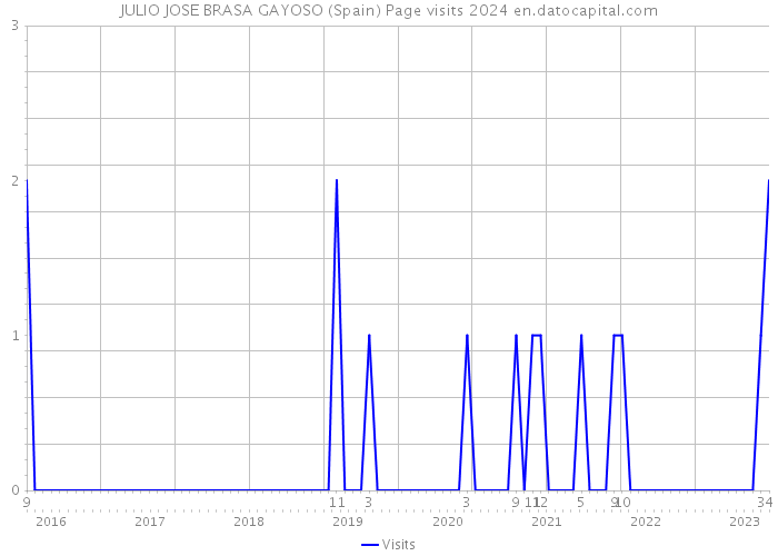 JULIO JOSE BRASA GAYOSO (Spain) Page visits 2024 
