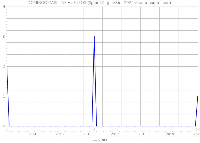 DOMINGO CASILLAS HUSILLOS (Spain) Page visits 2024 