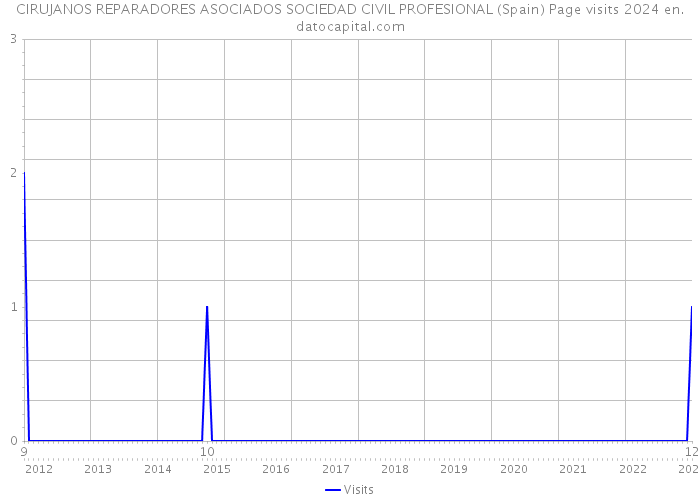 CIRUJANOS REPARADORES ASOCIADOS SOCIEDAD CIVIL PROFESIONAL (Spain) Page visits 2024 