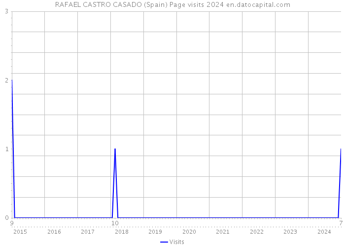 RAFAEL CASTRO CASADO (Spain) Page visits 2024 