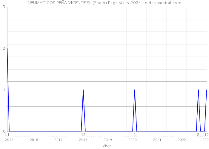 NEUMATICOS PEÑA VICENTE SL (Spain) Page visits 2024 