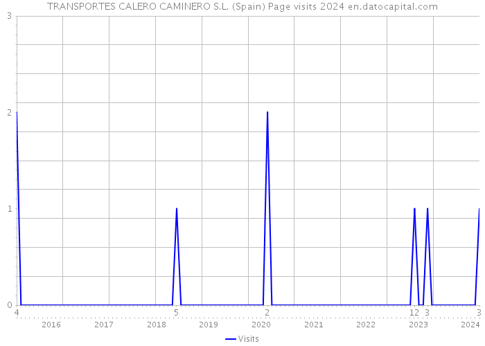 TRANSPORTES CALERO CAMINERO S.L. (Spain) Page visits 2024 