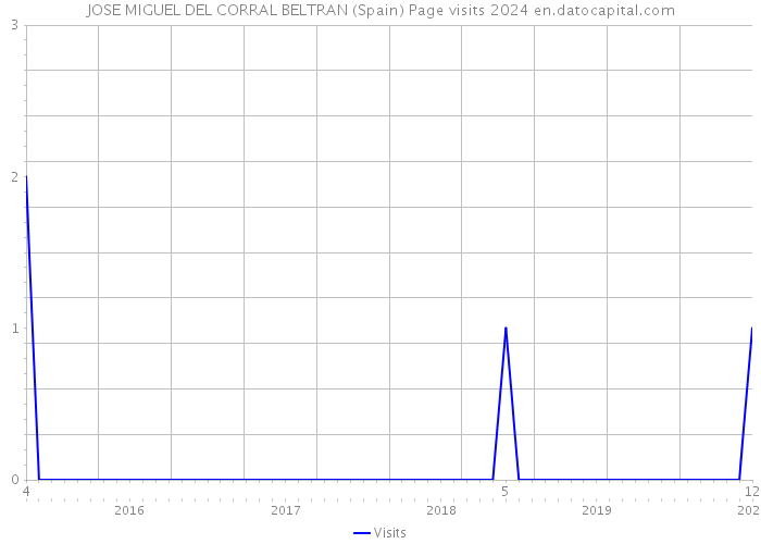 JOSE MIGUEL DEL CORRAL BELTRAN (Spain) Page visits 2024 