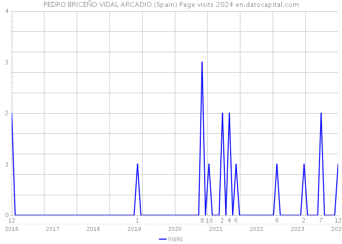PEDRO BRICEÑO VIDAL ARCADIO (Spain) Page visits 2024 