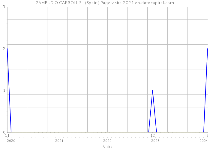 ZAMBUDIO CARROLL SL (Spain) Page visits 2024 
