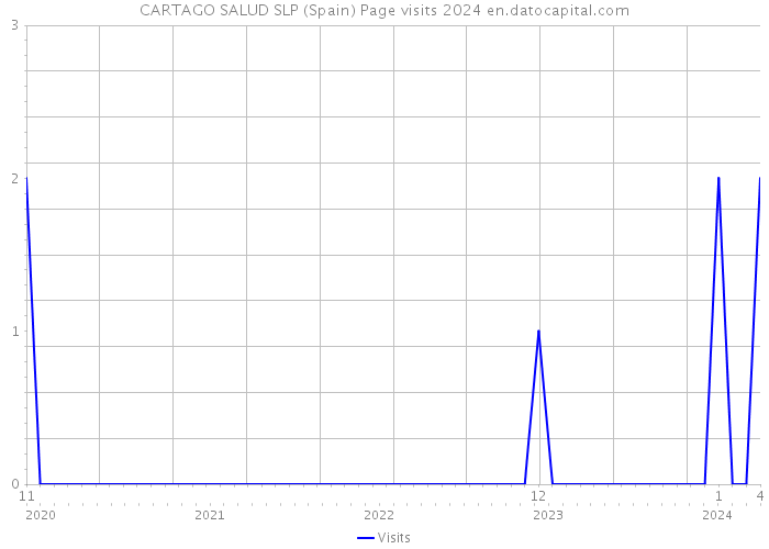 CARTAGO SALUD SLP (Spain) Page visits 2024 