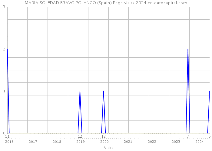 MARIA SOLEDAD BRAVO POLANCO (Spain) Page visits 2024 