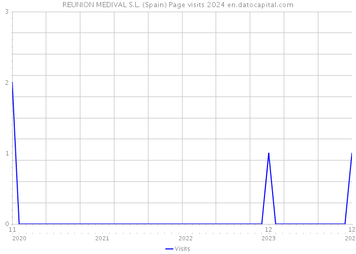 REUNION MEDIVAL S.L. (Spain) Page visits 2024 