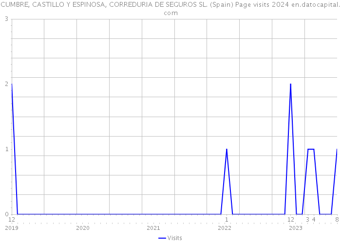 CUMBRE, CASTILLO Y ESPINOSA, CORREDURIA DE SEGUROS SL. (Spain) Page visits 2024 