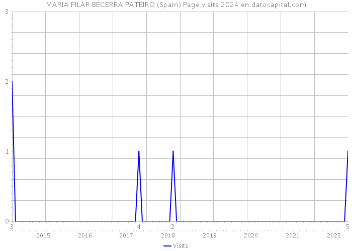 MARIA PILAR BECERRA PATEIRO (Spain) Page visits 2024 