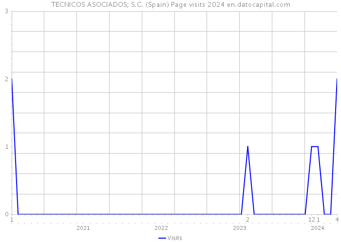 TECNICOS ASOCIADOS; S.C. (Spain) Page visits 2024 