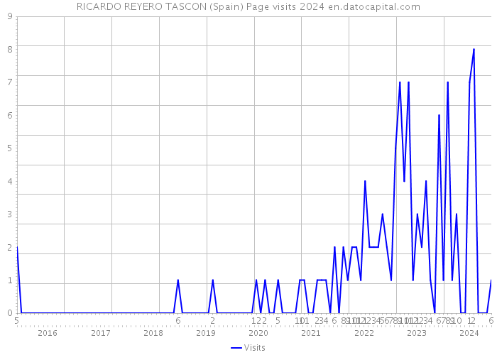 RICARDO REYERO TASCON (Spain) Page visits 2024 