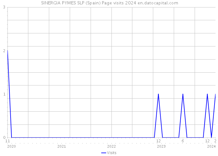  SINERGIA PYMES SLP (Spain) Page visits 2024 