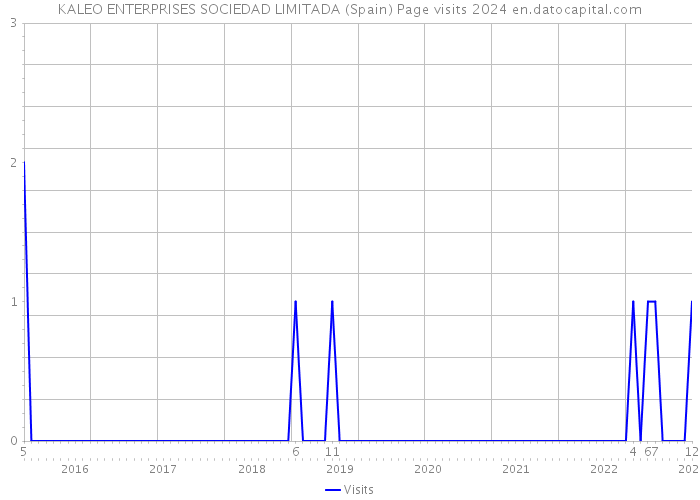 KALEO ENTERPRISES SOCIEDAD LIMITADA (Spain) Page visits 2024 