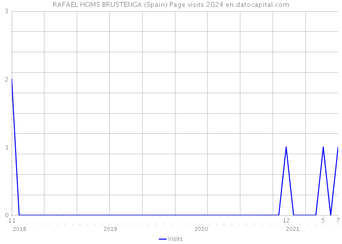 RAFAEL HOMS BRUSTENGA (Spain) Page visits 2024 