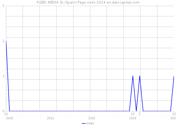 FLEEK MEDIA SL (Spain) Page visits 2024 