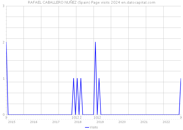 RAFAEL CABALLERO NUÑEZ (Spain) Page visits 2024 