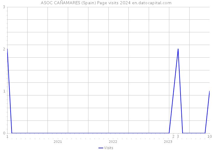ASOC CAÑAMARES (Spain) Page visits 2024 