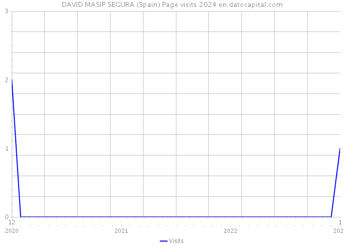 DAVID MASIP SEGURA (Spain) Page visits 2024 