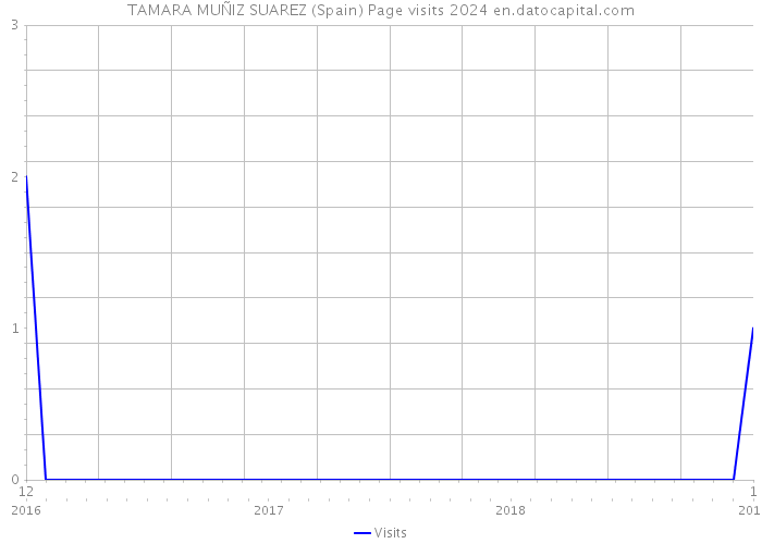TAMARA MUÑIZ SUAREZ (Spain) Page visits 2024 