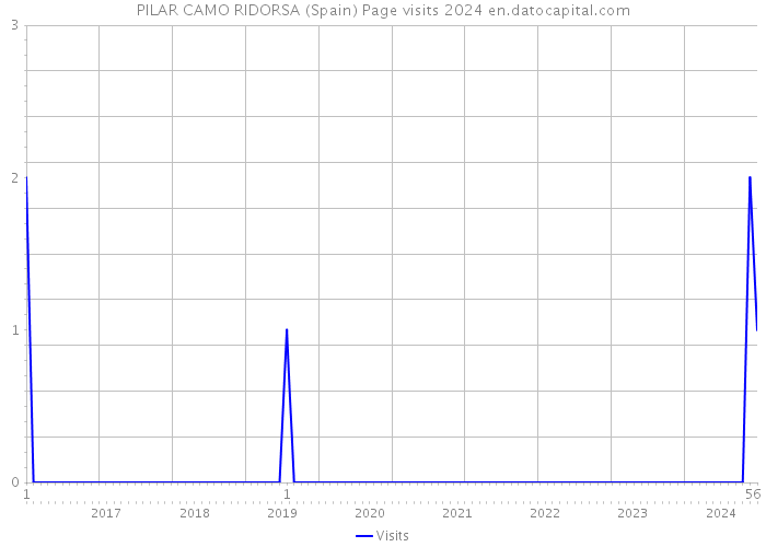 PILAR CAMO RIDORSA (Spain) Page visits 2024 