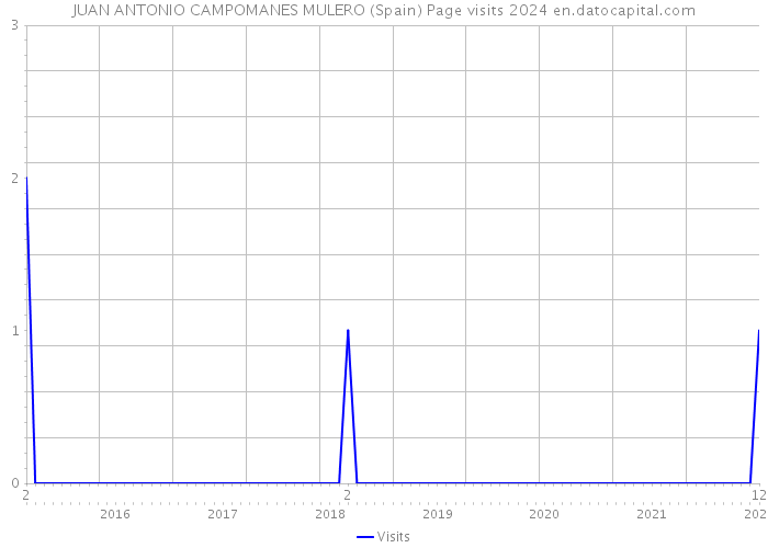 JUAN ANTONIO CAMPOMANES MULERO (Spain) Page visits 2024 