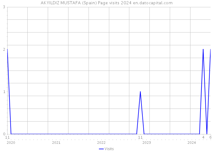 AKYILDIZ MUSTAFA (Spain) Page visits 2024 