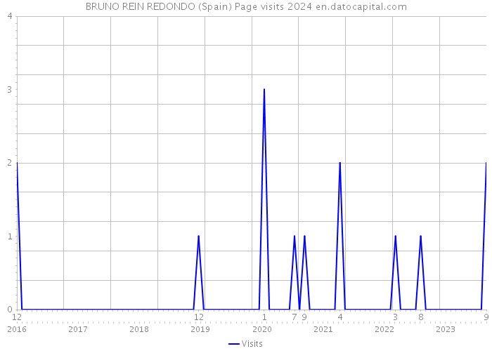 BRUNO REIN REDONDO (Spain) Page visits 2024 