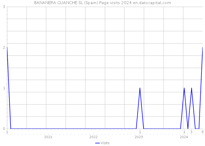 BANANERA GUANCHE SL (Spain) Page visits 2024 