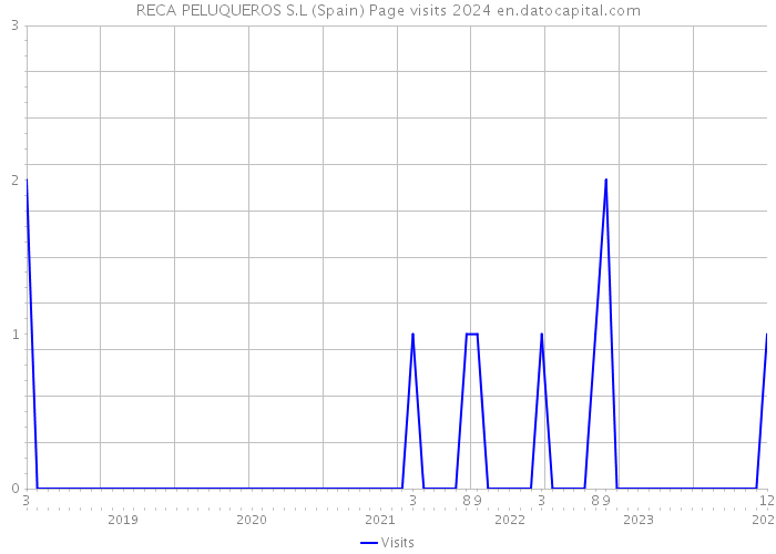 RECA PELUQUEROS S.L (Spain) Page visits 2024 