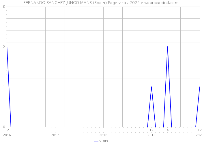 FERNANDO SANCHEZ JUNCO MANS (Spain) Page visits 2024 