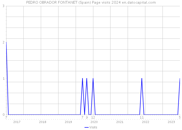 PEDRO OBRADOR FONTANET (Spain) Page visits 2024 
