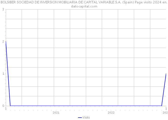 BOLSIBER SOCIEDAD DE INVERSION MOBILIARIA DE CAPITAL VARIABLE S.A. (Spain) Page visits 2024 