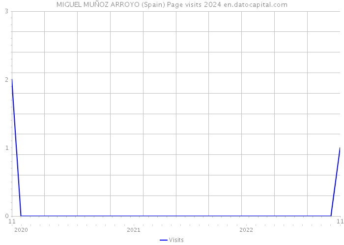 MIGUEL MUÑOZ ARROYO (Spain) Page visits 2024 