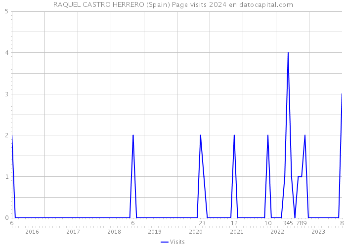 RAQUEL CASTRO HERRERO (Spain) Page visits 2024 